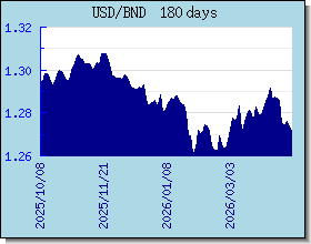 BND 為替レートのグラフとグラフ