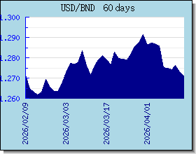 BND 為替レートのグラフとグラフ